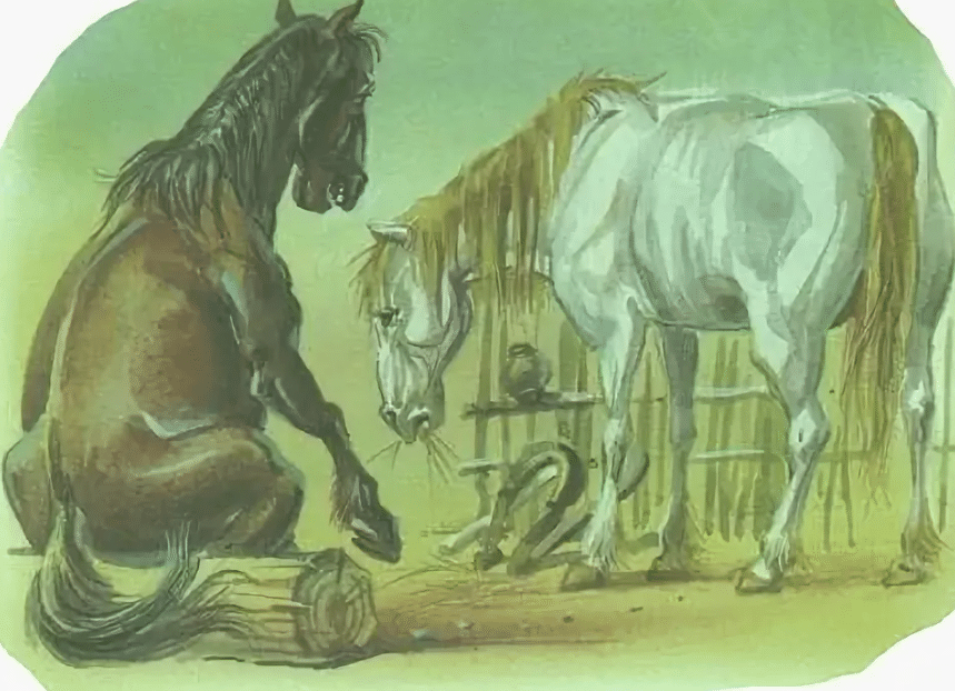 конь и кобыла